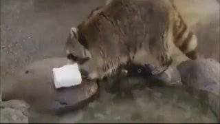 video_thumb