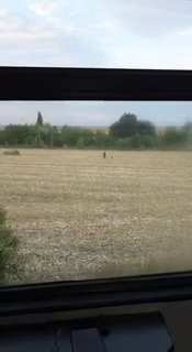 video_thumb