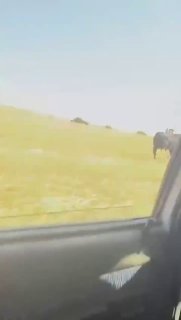 video_thumb