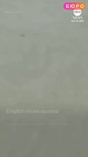 video_thumb
